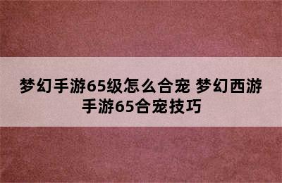 梦幻手游65级怎么合宠 梦幻西游手游65合宠技巧